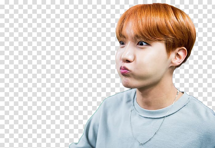 BTS K-pop Blood Sweat & Tears I NEED U The Most Beautiful Moment in Life: Young Forever, Bts meme transparent background PNG clipart