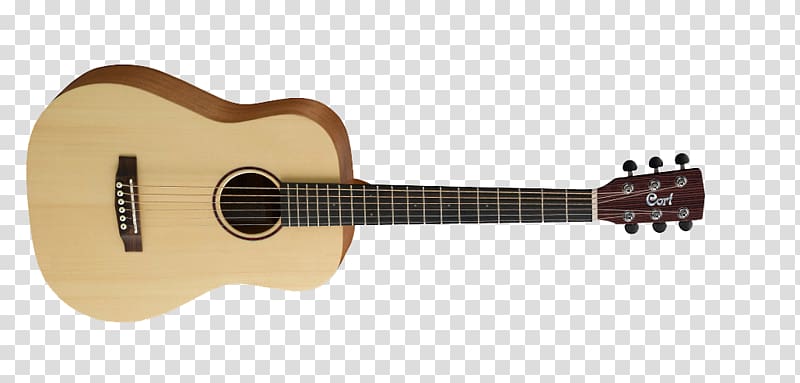 Cort Guitars Twelve-string guitar Acoustic guitar Musical Instruments, Acoustic Guitar transparent background PNG clipart