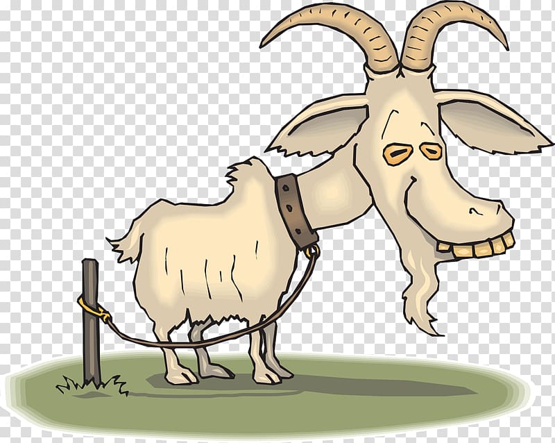 Premium Vector | Hand sketched hand drawn angora goat vector