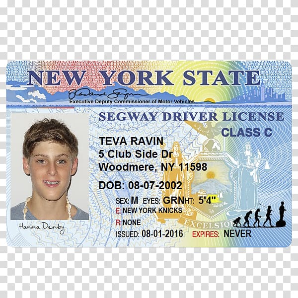 New York City Commercial driver\'s license Identity document, driving transparent background PNG clipart