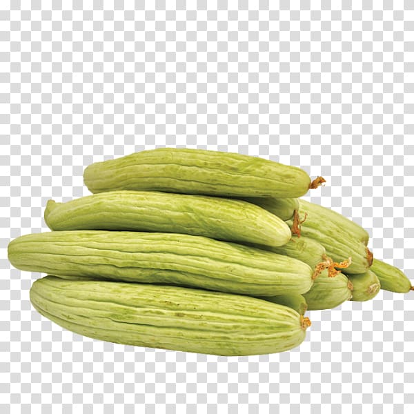 Armenian cucumber Vegetarian cuisine Pickled cucumber Cucurbita pepo var. cylindrica, cucumber transparent background PNG clipart