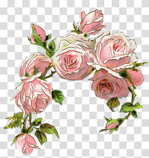 Rose Pink Vintage clothing Flower , flowers watercolor transparent background PNG clipart thumbnail