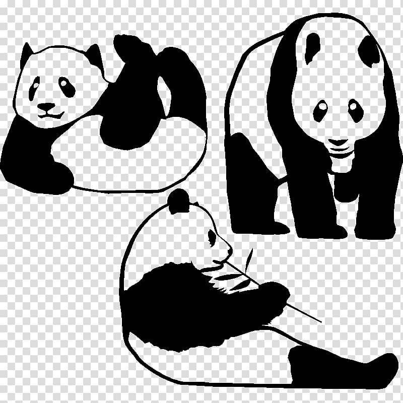 Giant panda Decal Bumper sticker Bear, bear transparent background PNG clipart