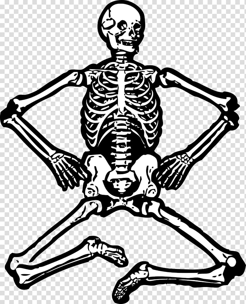 Skeleton transparent background PNG clipart