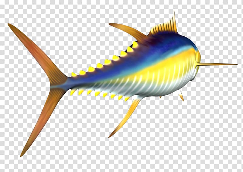 Yellowfin tuna Atlantic bluefin tuna , Free High Resolution transparent background PNG clipart