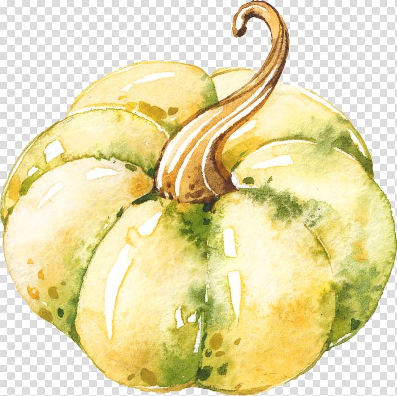 Gourd Winter squash Cucurbita Food Vegetable, vegetable transparent background PNG clipart