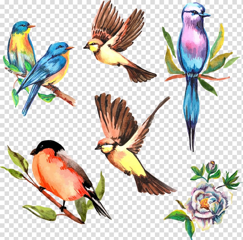 birds painting , watercolor flower bird transparent background PNG clipart