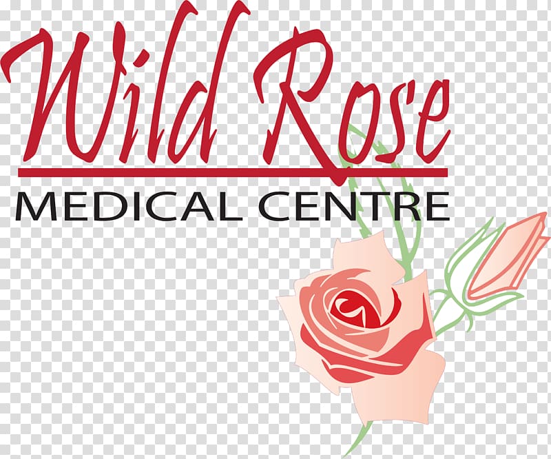 Garden roses Wild Rose Medical Centre Medicine Product naming, rose transparent background PNG clipart