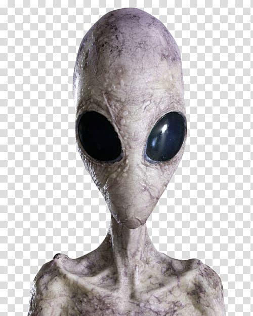 Grey alien Extraterrestrial life, Alien transparent background PNG clipart