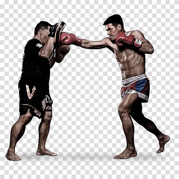 Muay Thai Mixed martial arts Evolve MMA Boxing, Boxing transparent background PNG clipart