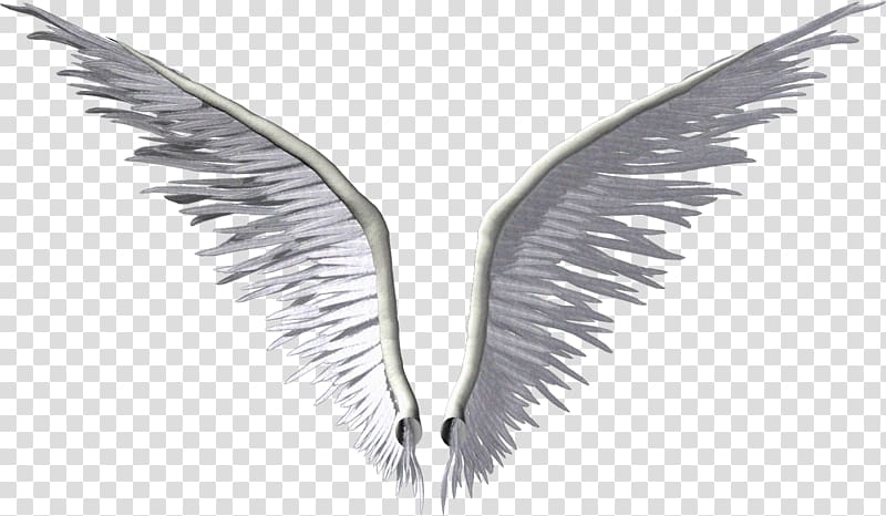 pair of white angel wings art, Wing Angel , Angel wings transparent background PNG clipart
