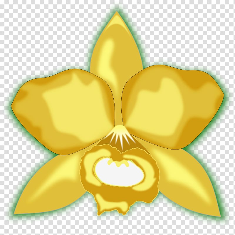 Cattleya orchids Favicon , Orchids For Free transparent background PNG clipart