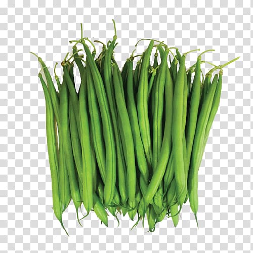 Green bean transparent background PNG clipart