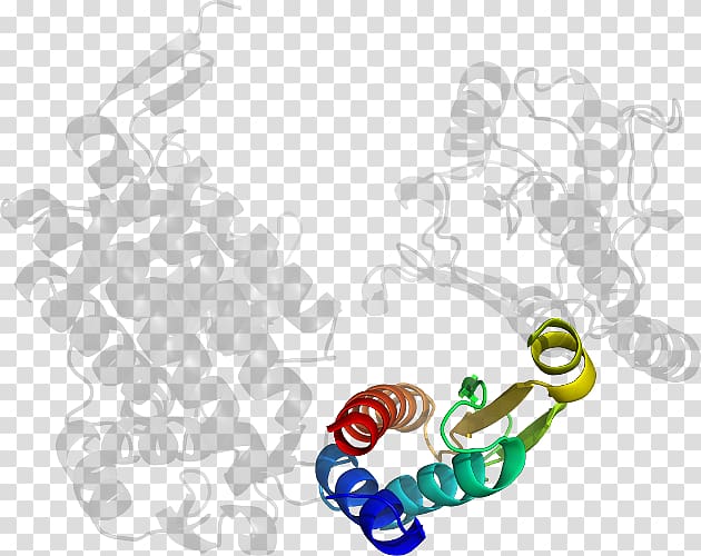 Body Jewellery , design transparent background PNG clipart Body Jewellery , design transparent background PNG clipart