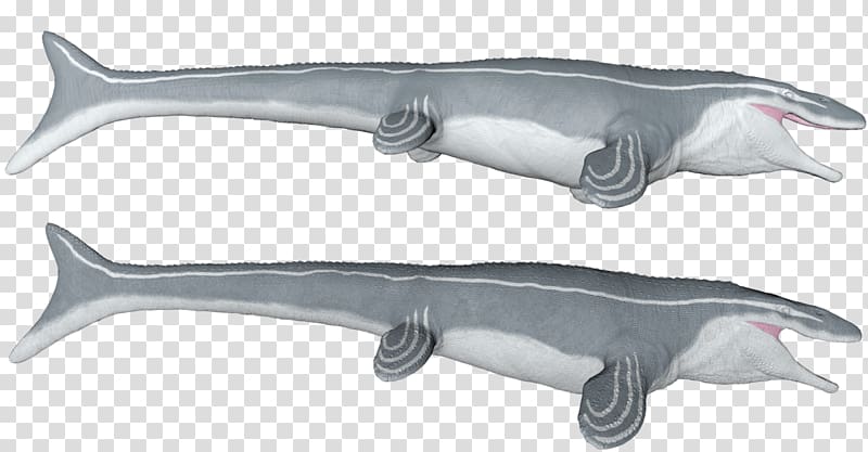 Mosasaurus Great white shark Squaliform sharks Mosasaurs Saurophaganax, megalodon vs mosasaurus transparent background PNG clipart