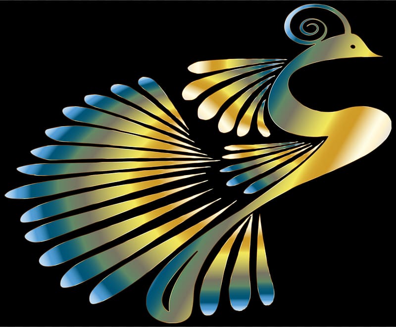 Bird Peafowl Color Desktop , peacock transparent background PNG clipart