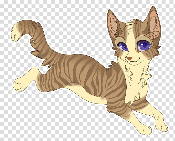 Wildcat Kitten Whiskers Tabby cat, Shadow Warrior transparent background PNG clipart