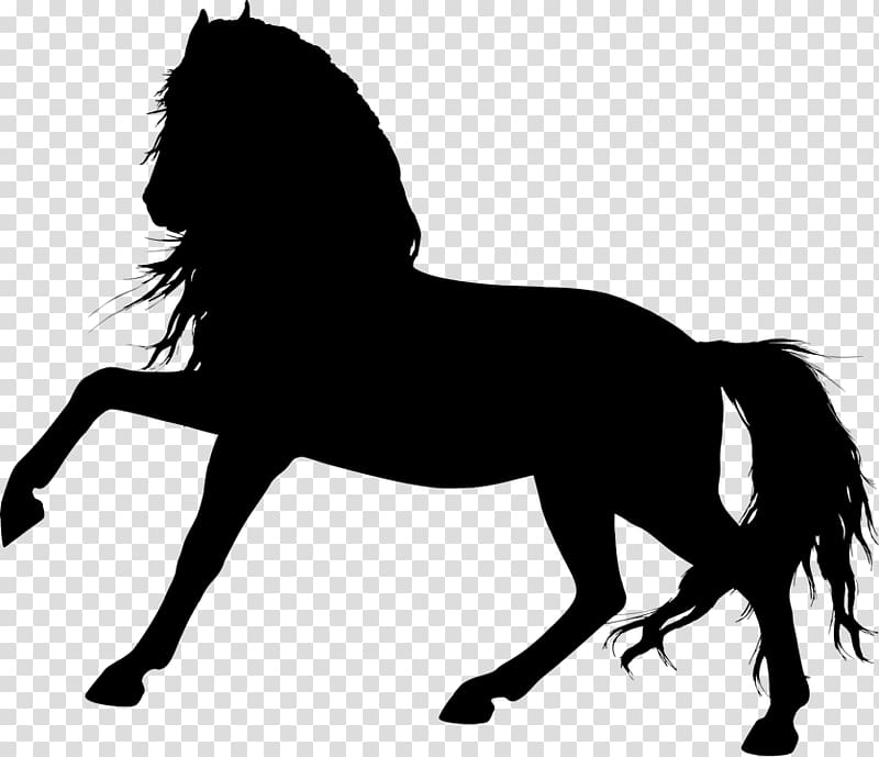 Unicorn Fairy Tale Fantasy Legendary creature Horse, pferdekopfkostenlos transparent background PNG clipart