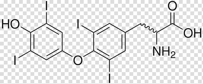 Levothyroxine Pharmaceutical drug Triiodothyronine The Thyroid Gland, tablet transparent background PNG clipart
