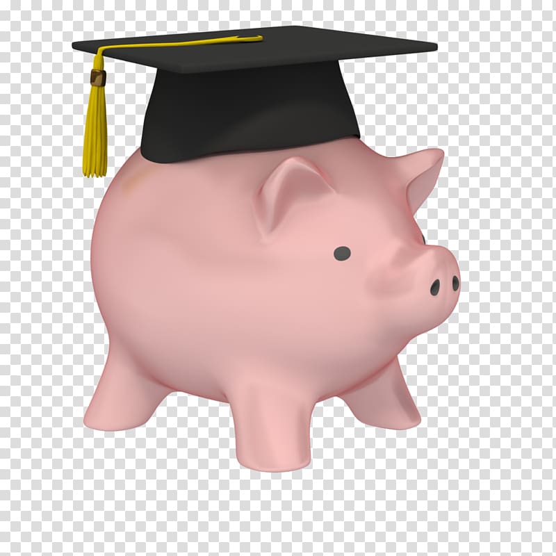 Piggy bank Graduation ceremony Money Saving, piggy bank transparent background PNG clipart