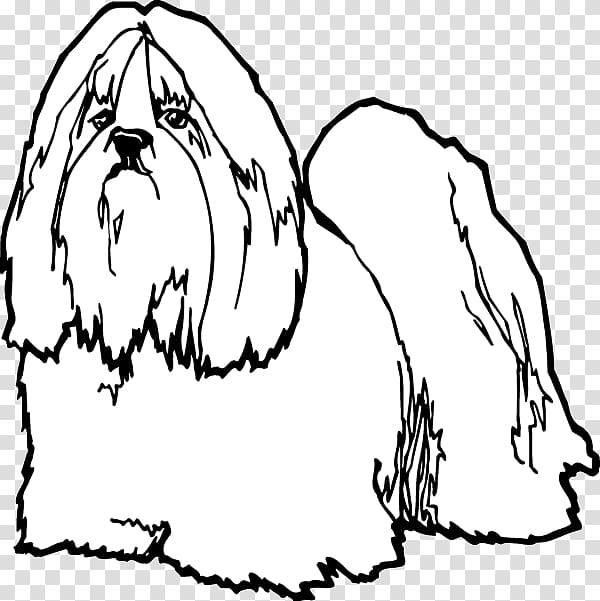 Lhasa Apso Shih Tzu Drawing , Lhasa apso transparent background PNG clipart