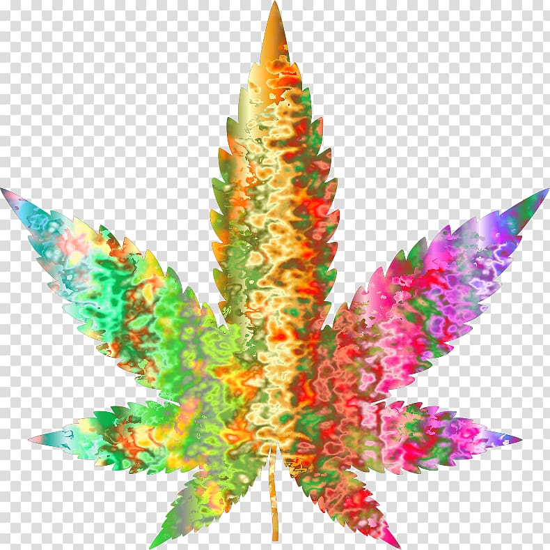 Medical cannabis Hemp Portable Network Graphics, cannabis transparent background PNG clipart