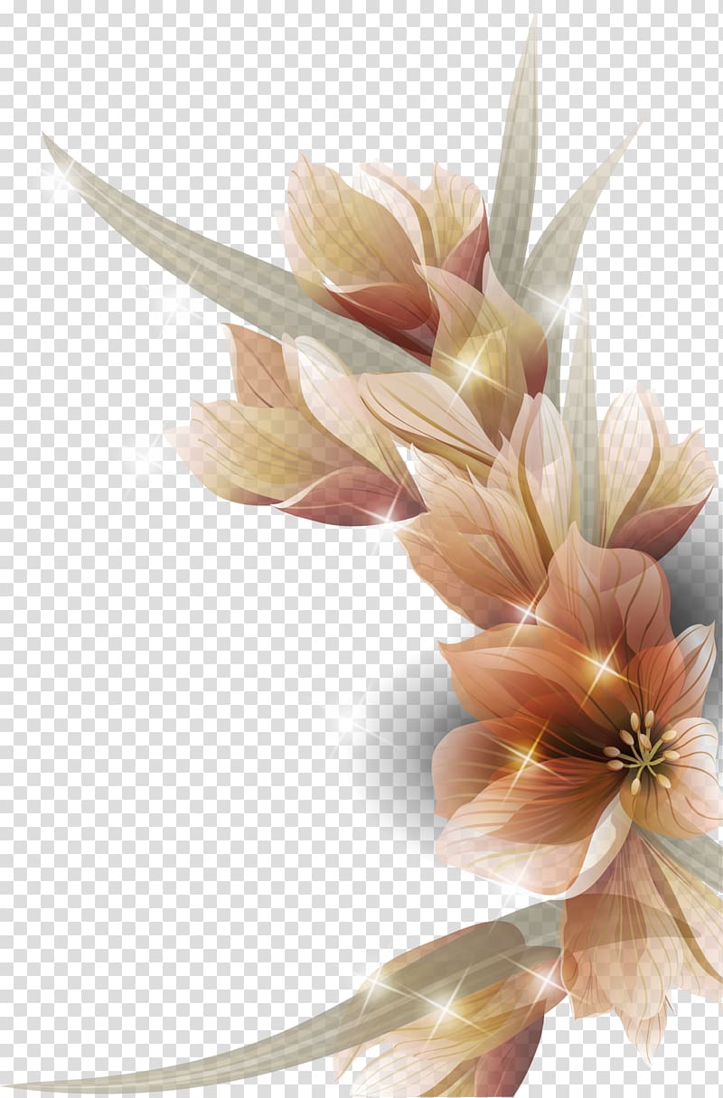 beautiful and colorful flowers transparent background PNG clipart