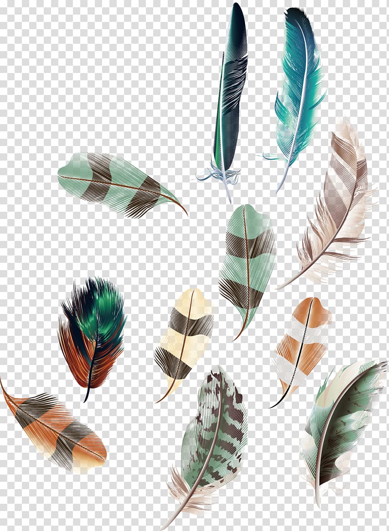 assorted feather illustration lot, Euclidean Feather Egg, feather decoration transparent background PNG clipart