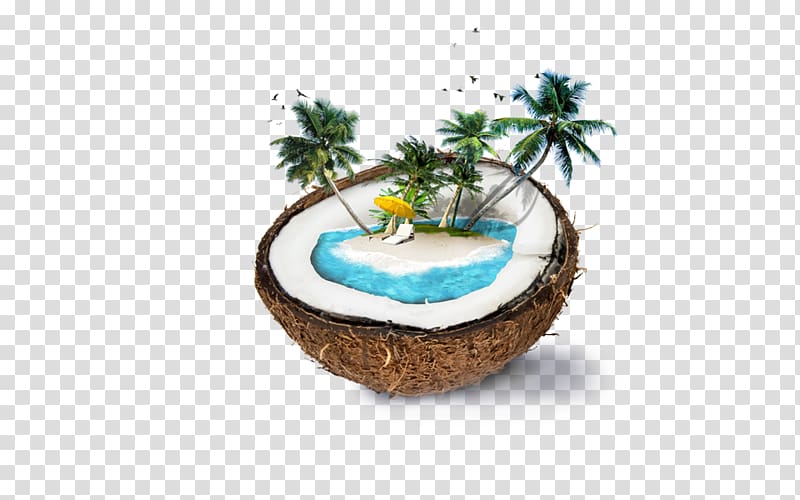 Nadi Weligama Coconut water Coconut milk, Coconut and palm beach transparent background PNG clipart