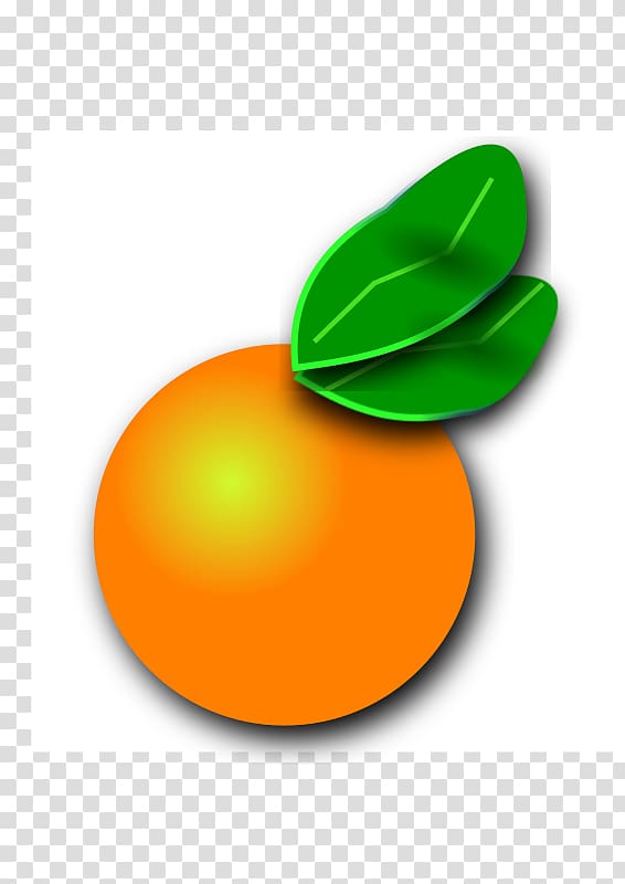 Orange County, Florida Citrus , orange transparent background PNG clipart