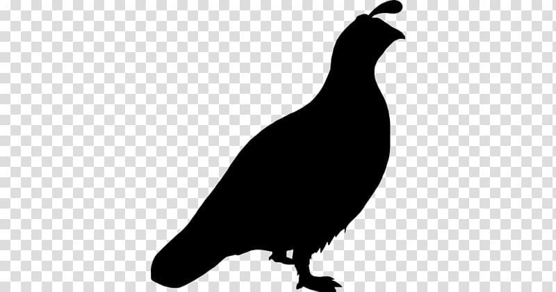 Quail Bird Computer Icons, Bird transparent background PNG clipart