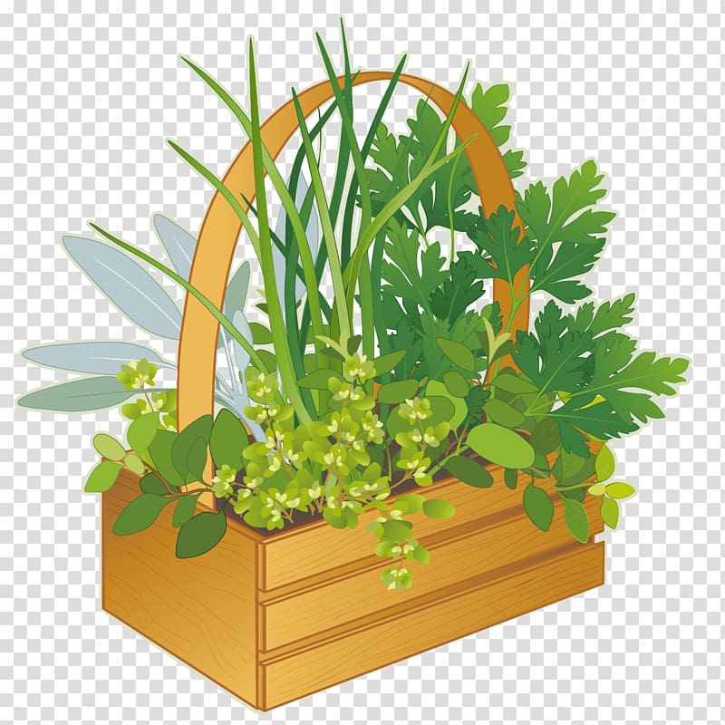 French cuisine Fines herbes Marjoram , Potted green plants transparent background PNG clipart