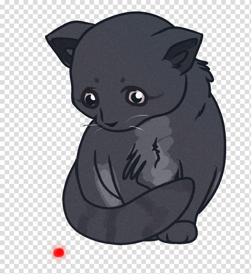 Black cat Kitten Whiskers Carnivora, totoro transparent background PNG clipart
