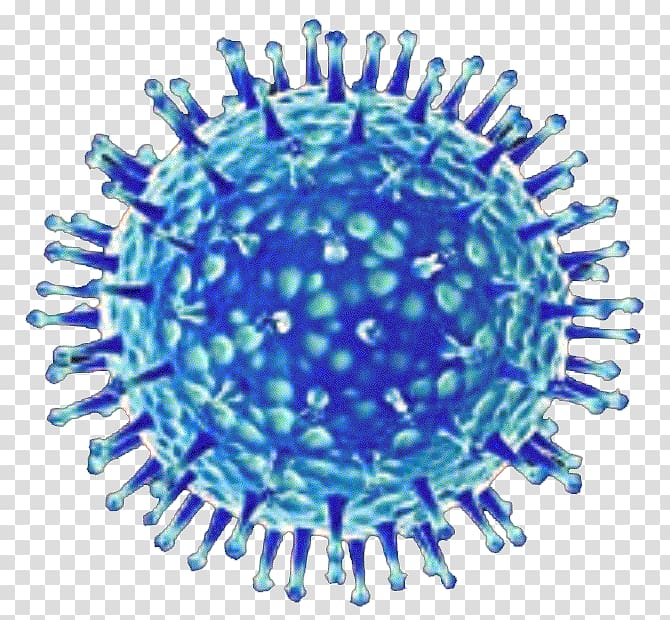 Featured image of post Virus Picture Without Background : Don&#039;t want to provide attribution?