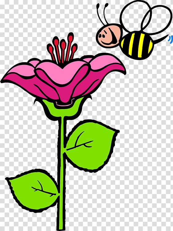 Honey bee Insect Flower, bee transparent background PNG clipart