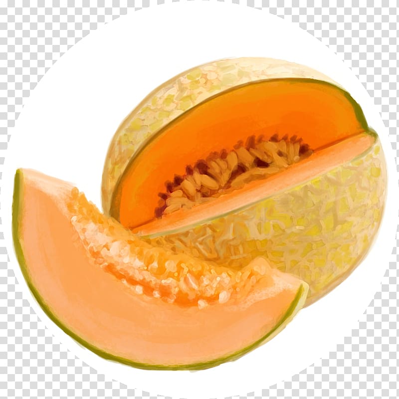 Fruit Food Tuscany Cantaloupe Agriculture, melon transparent background PNG clipart