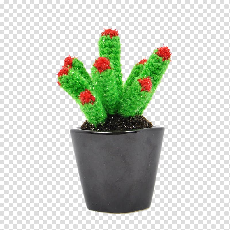 Cactaceae Euclidean Plant Flowerpot, Potted cactus transparent background PNG clipart