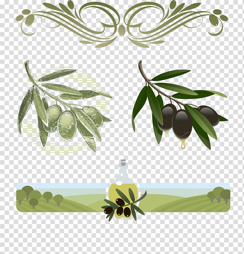 Olive oil illustration , Cartoon Olive Oil Collection transparent background PNG clipart