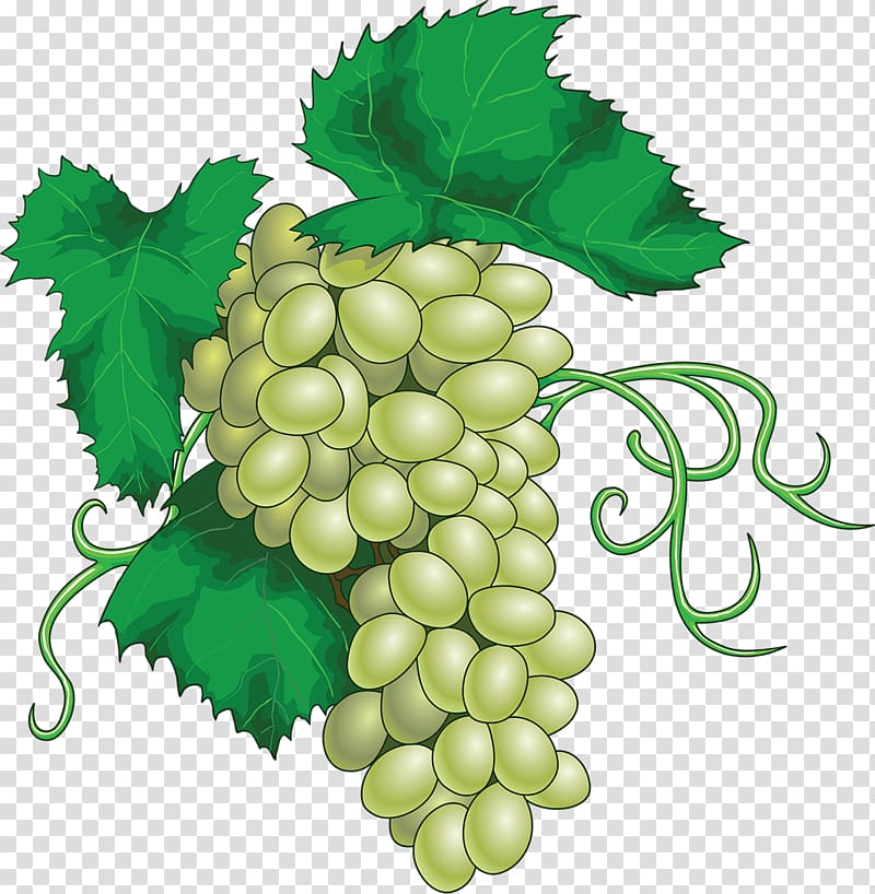 Wine Grape leaves Juice Riesling, Grapes transparent background PNG clipart