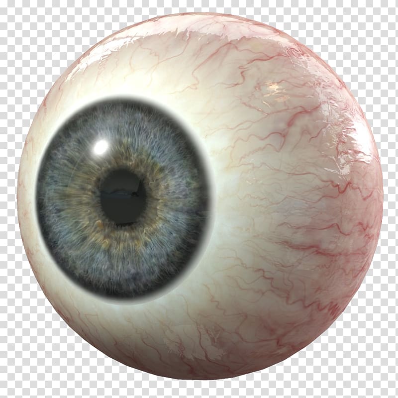human eyeball illustration, Human eye 3D modeling 3D computer graphics Iris, Eye transparent background PNG clipart