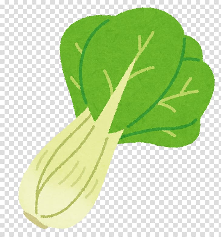 Leaf vegetable Bok choy Chinese cabbage Chinese cuisine, bok choy transparent background PNG clipart