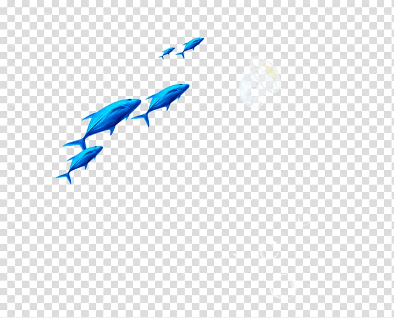 Fish Euclidean , Blue fish transparent background PNG clipart