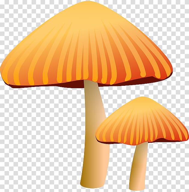 Mushroom Morchella Fungus , Mushroom Cartoon transparent background PNG clipart