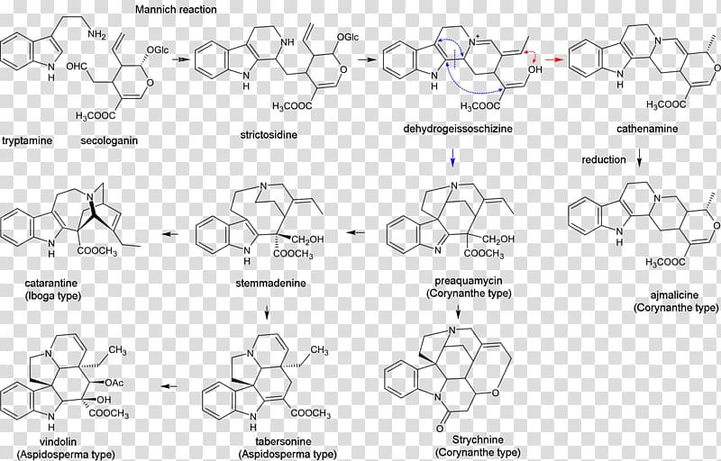 Indole alkaloid Terpene Terpenoid, others transparent background PNG clipart