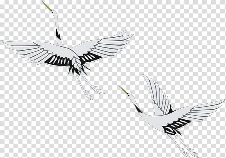 red-crowned crane transparent background PNG clipart