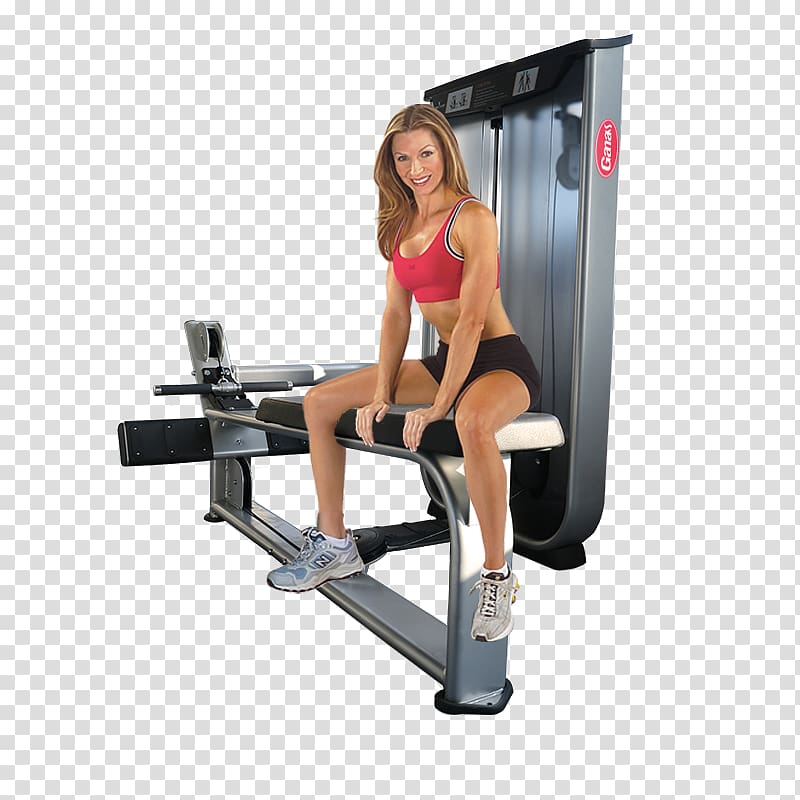Fitness centre Physical fitness Bodybuilding Weight training Exercise equipment, bodybuilding transparent background PNG clipart