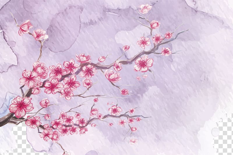 Watercolor painting Ink wash painting, Cherry blossoms transparent background PNG clipart
