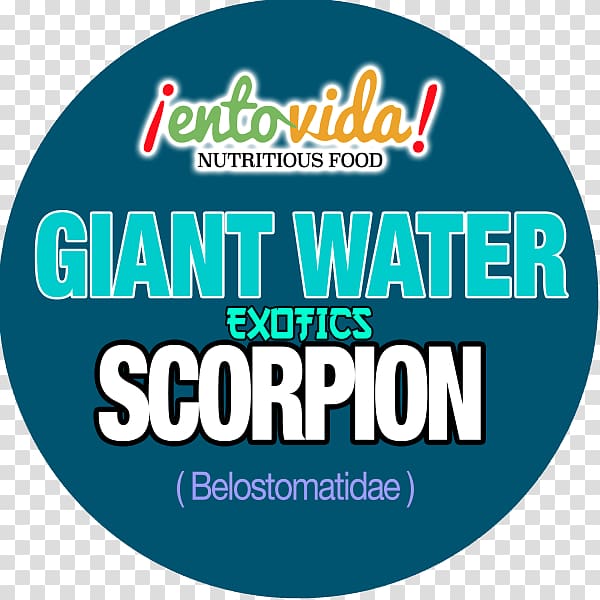 Scorpion Nepidae Logo Brand Font, Scorpion transparent background PNG clipart