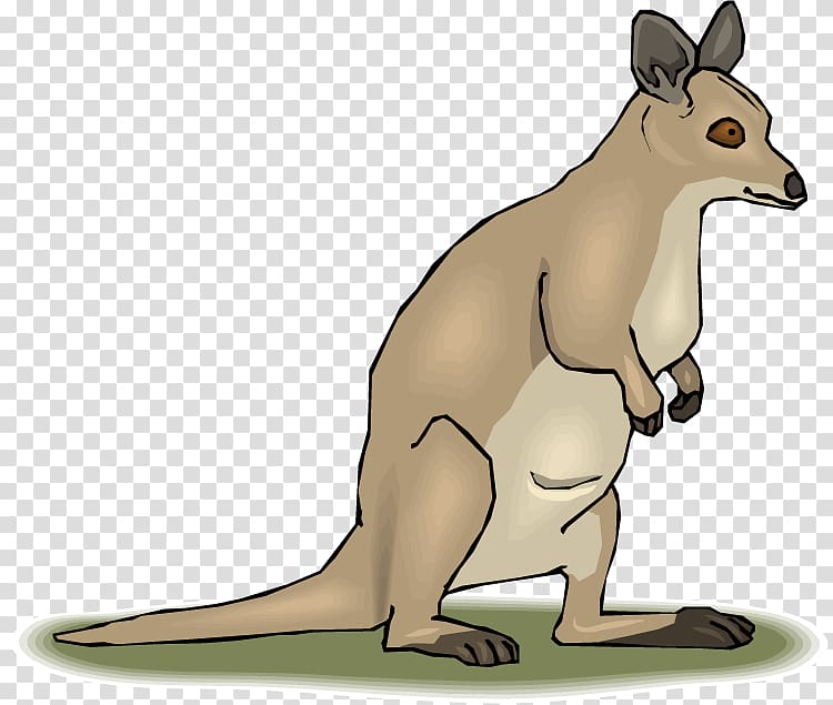 Marsupial Tree-kangaroo Mammal , kangaroo transparent background PNG clipart