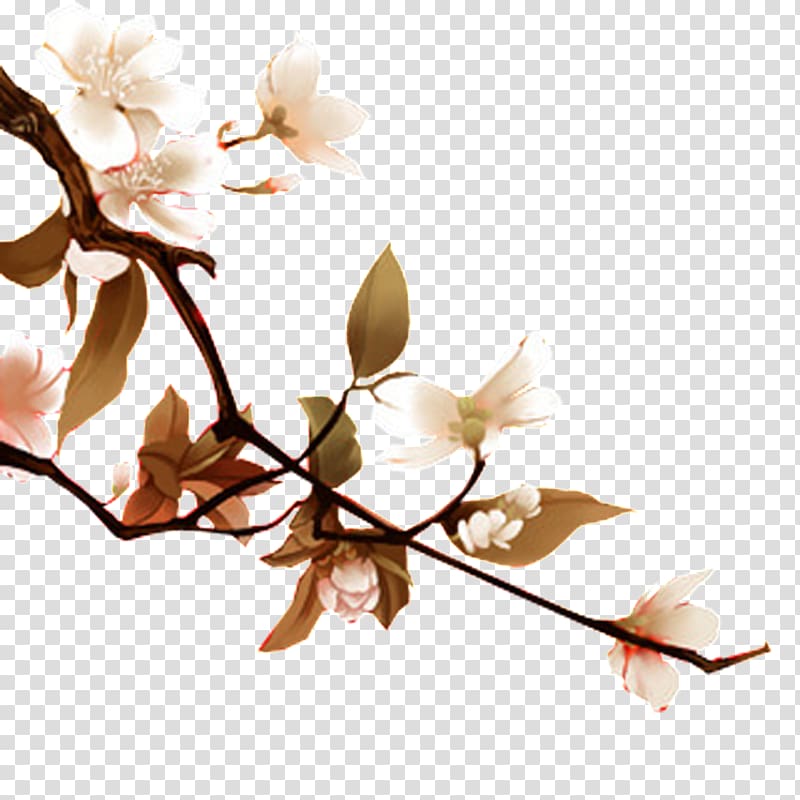 Peach Illustration, Pear in full bloom transparent background PNG clipart